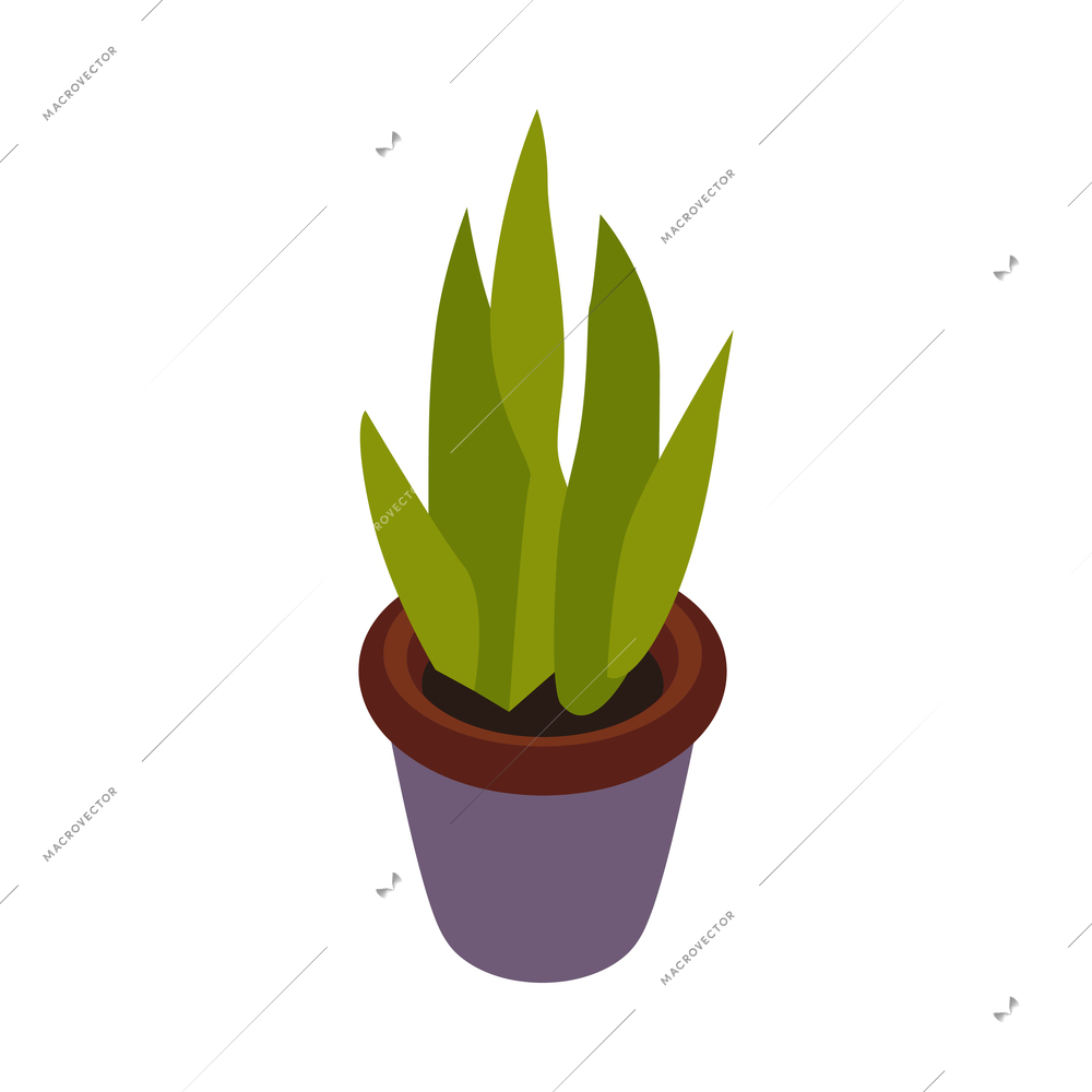 Restaurant and cafeteria interior isometric composition with isolated image of plant in pot vector illustration