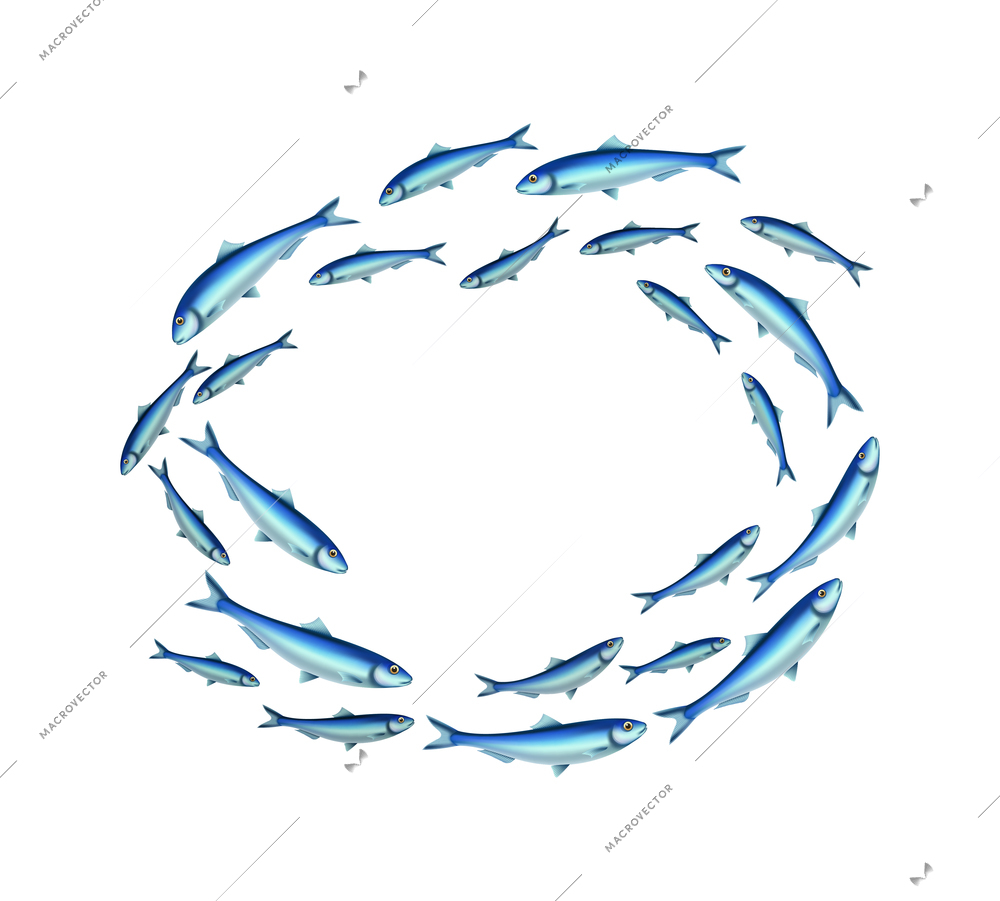 Fish school colony realistic composition with isolated images of fishes in shoal on transparent background vector illustration