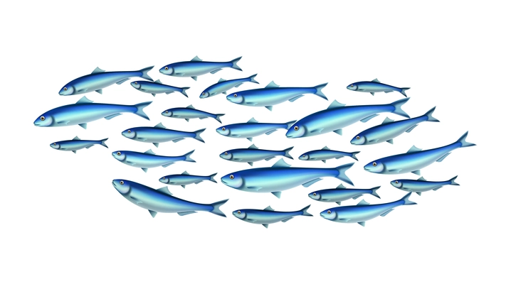 Fish school colony realistic composition with isolated images of fishes in shoal on transparent background vector illustration