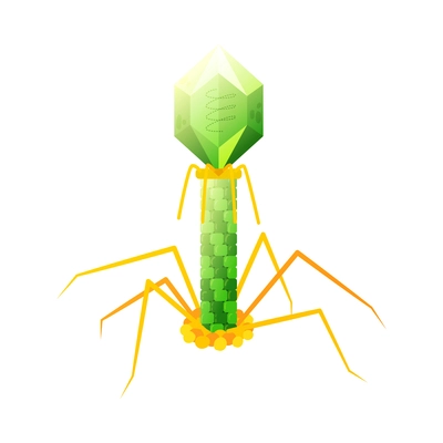 Human virus composition with isolated image of bacteriophage t4 bacteria vector illustration