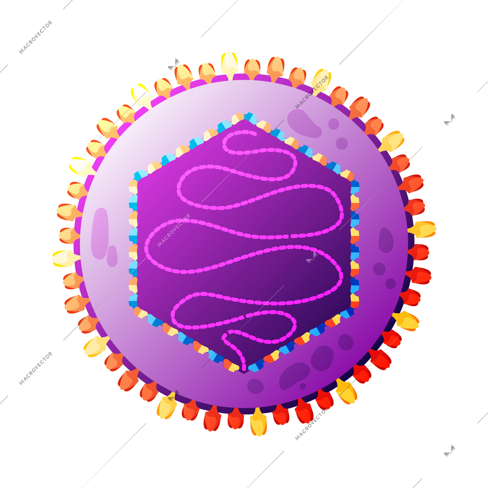 Human virus composition with isolated image of herpes bacteria vector illustration