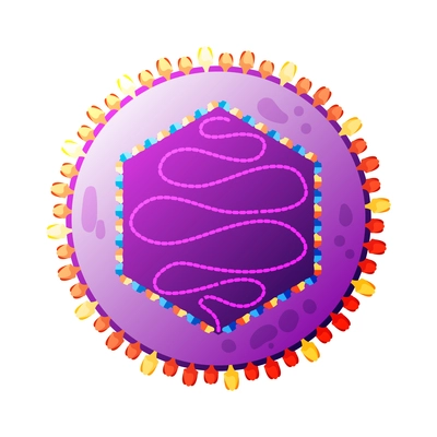 Human virus composition with isolated image of herpes bacteria vector illustration