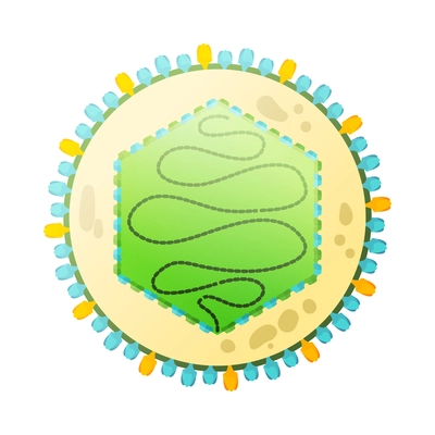 Human virus composition with isolated image of herpes bacteria vector illustration