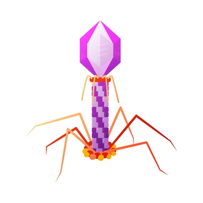 Human virus composition with isolated image of bacteriophage t4 bacteria vector illustration