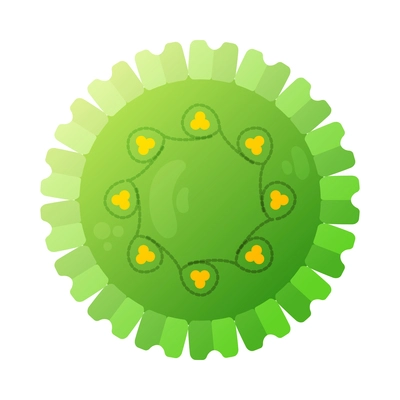 Human virus composition with isolated image of papilomavirus bacteria vector illustration