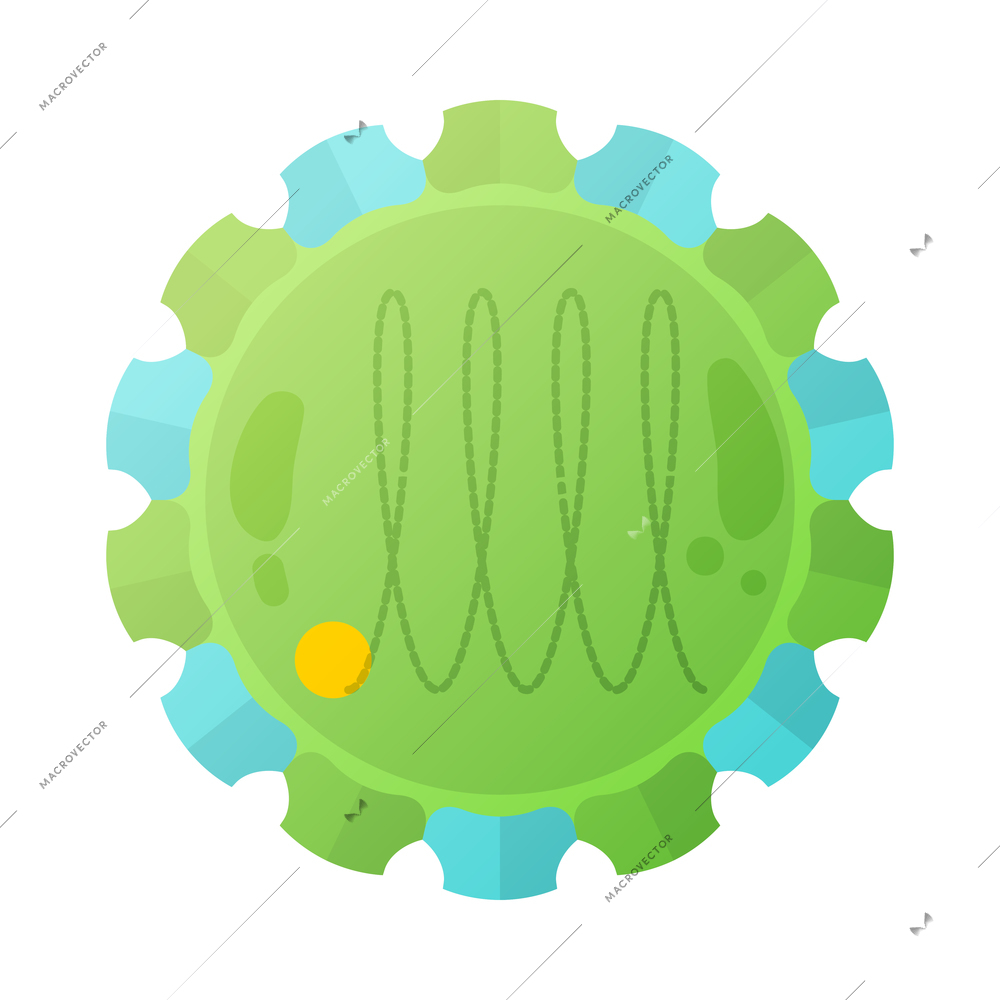 Human virus composition with isolated image of rhinovirus bacteria vector illustration