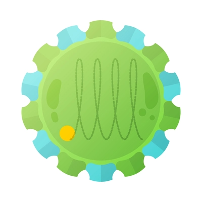 Human virus composition with isolated image of rhinovirus bacteria vector illustration