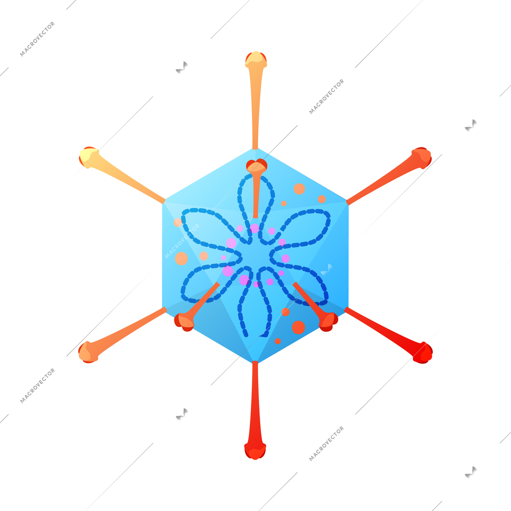 Human virus composition with isolated image of adenovirae bacteria vector illustration