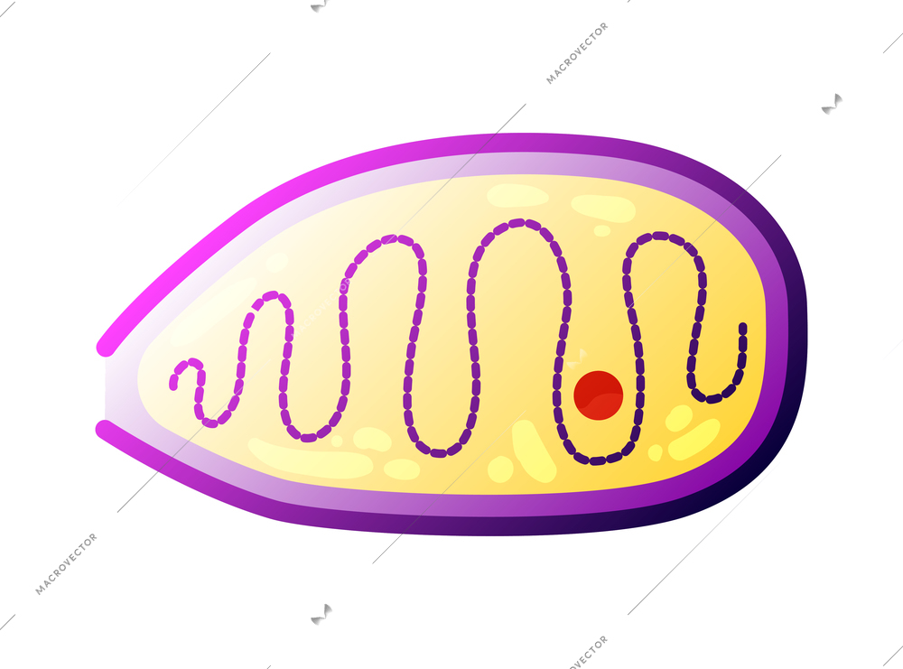 Human virus composition with isolated image of pandoravirus bacteria vector illustration