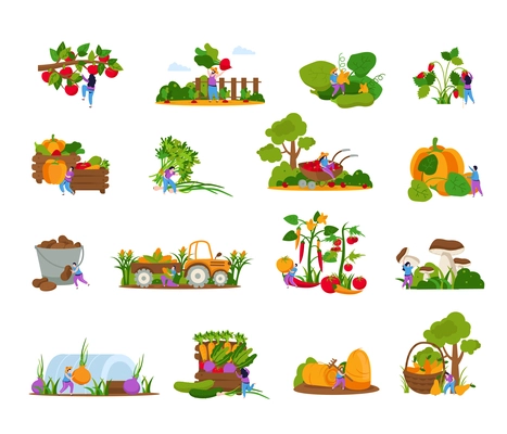 Harvesting collection of flat icons and isolated images of plants people and gathering appliances with agrimotor vector illustration