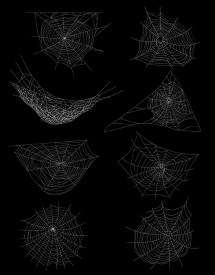 Realistic spider web cobweb set of isolated images with circle shaped web with different angle views vector illustration