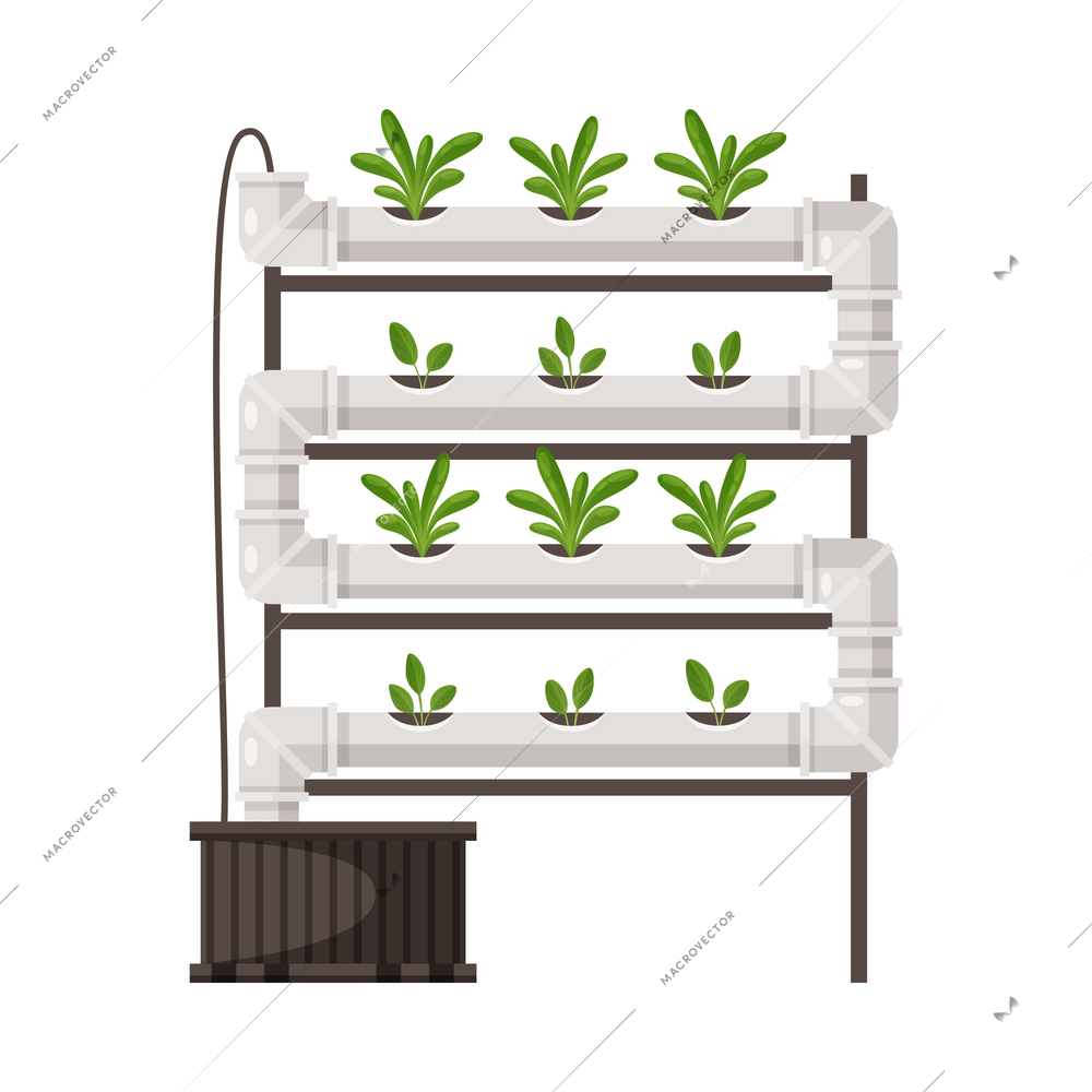 Greenhouse vertical farming hydroponics aeroponics cartoon composition with plants in tube vector illustration