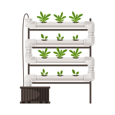 Greenhouse vertical farming hydroponics aeroponics cartoon composition with plants in tube vector illustration