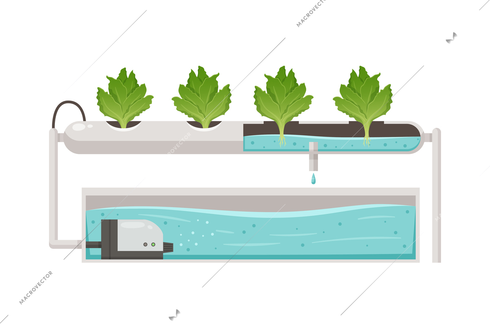 Greenhouse vertical farming hydroponics aeroponics cartoon composition with plants in tube bath vector illustration