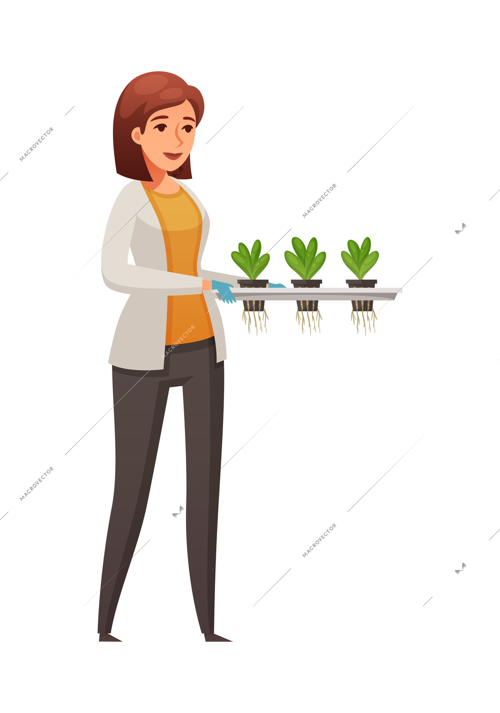 Greenhouse vertical farming hydroponics aeroponics cartoon composition with female worker holding sprigs vector illustration