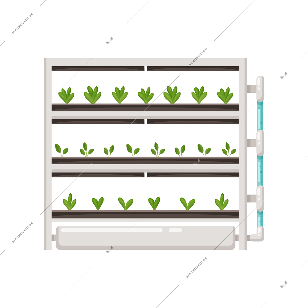 Greenhouse vertical farming hydroponics aeroponics cartoon composition with plants on shelves vector illustration