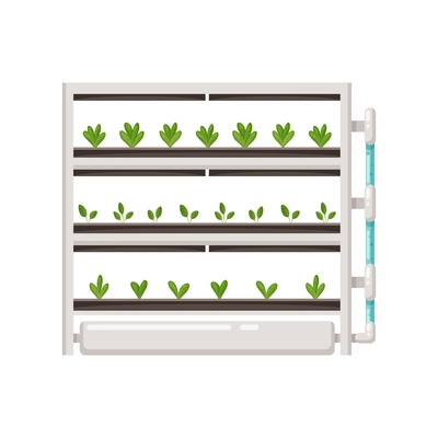 Greenhouse vertical farming hydroponics aeroponics cartoon composition with plants on shelves vector illustration