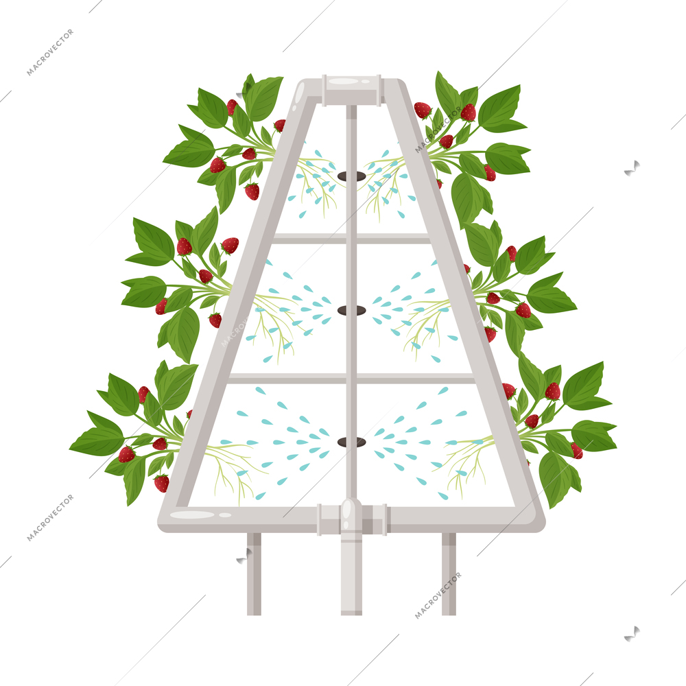 Greenhouse vertical farming hydroponics aeroponics cartoon composition with plants on frame vector illustration
