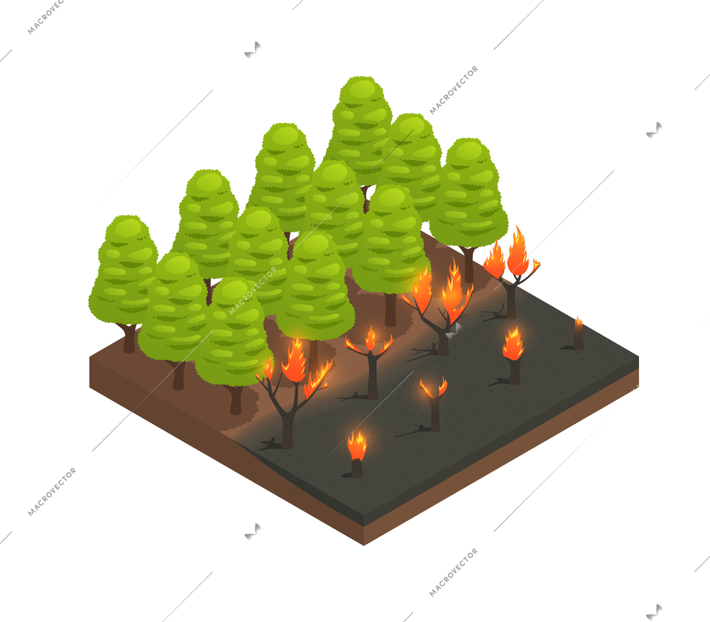 Natural disaster isometric composition with view of burning forest trees vector illustration