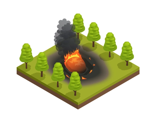 Natural disaster isometric composition with view of fallen meteorite impact with fire and forest trees vector illustration