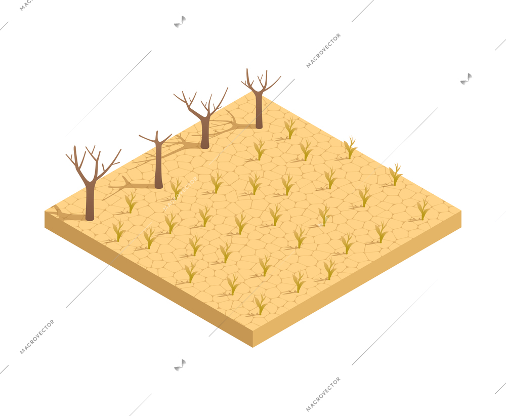 Natural disaster isometric composition with view of hard dry trees on rough land vector illustration
