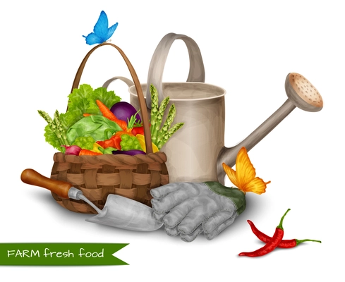 Farm fresh food concept with vegetable basket water can and garden tools vector illustration