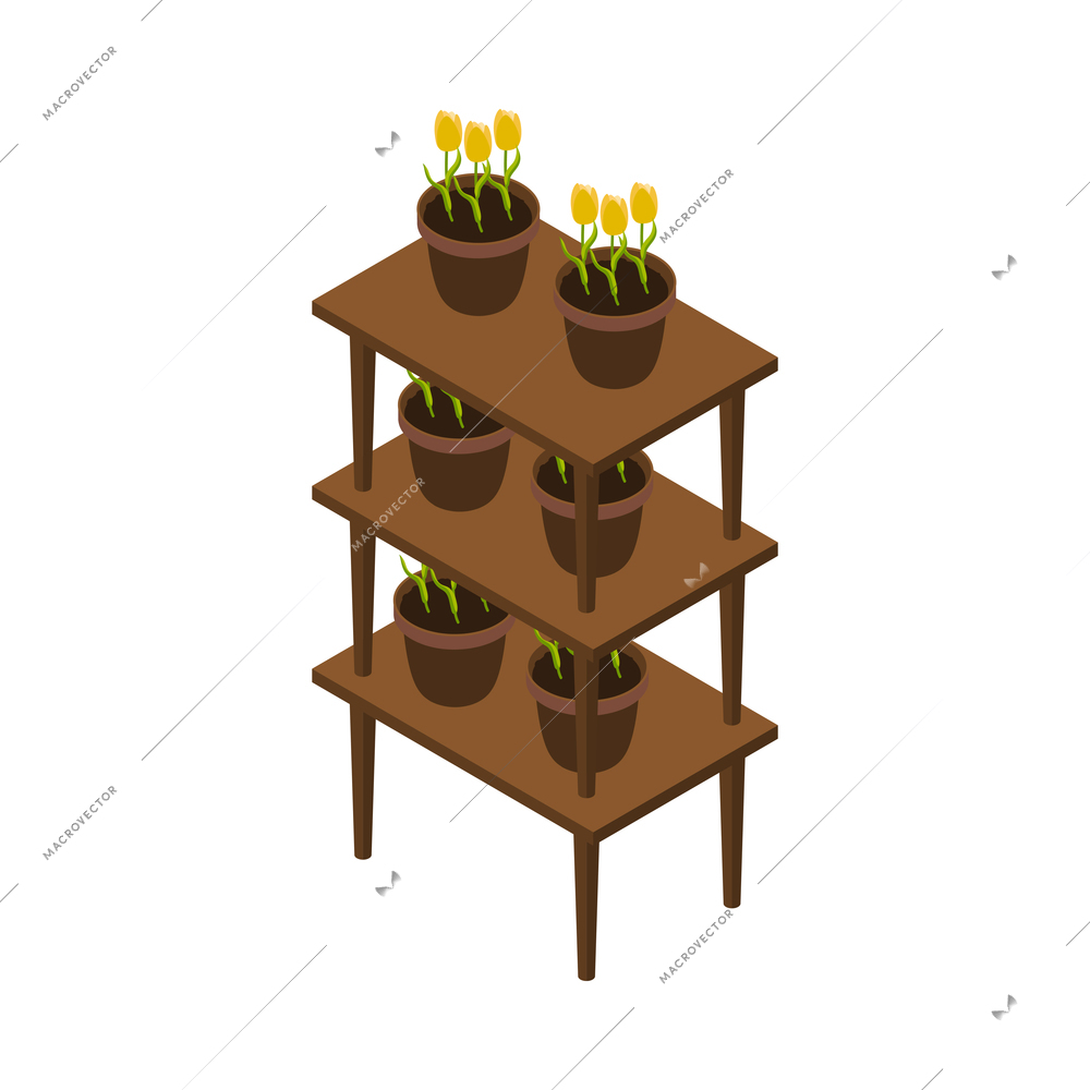 Flower shop florist icons isometric composition with isolated image of shelves rack with flowers in pots vector illustration