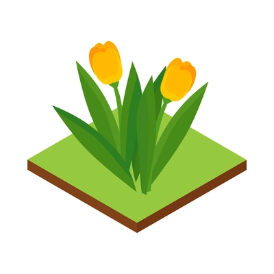 Isometric forest park nature element composition with rectangular platform and yellow tulips vector illustration