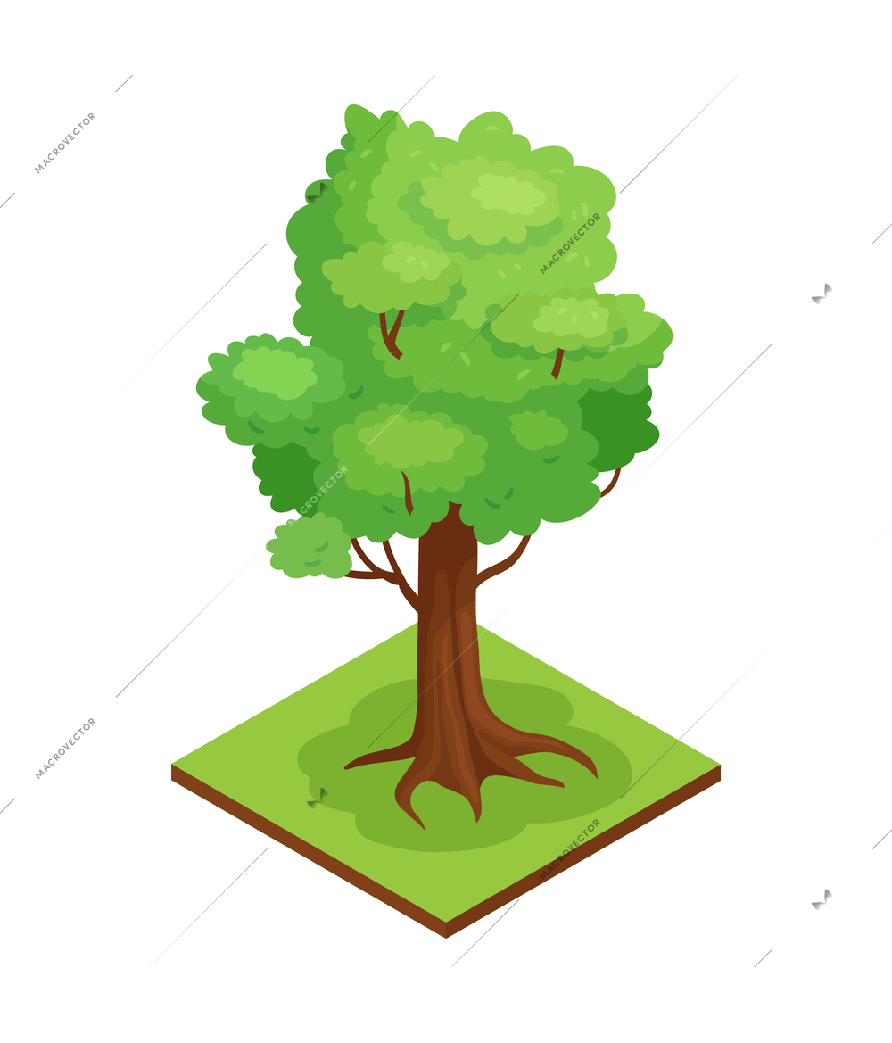 Isometric forest park nature element composition with rectangular platform and oak tree vector illustration