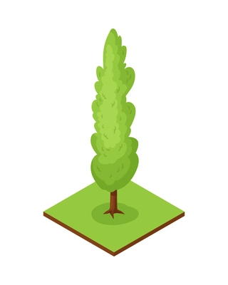 Isometric forest park nature element composition with rectangular platform and tree vector illustration