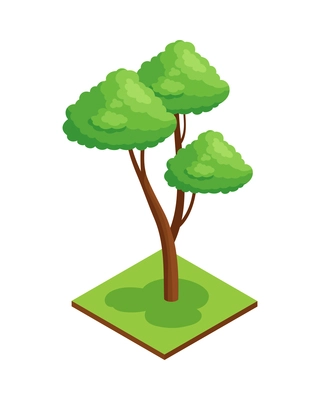 Isometric forest park nature element composition with rectangular platform and exotic tree vector illustration