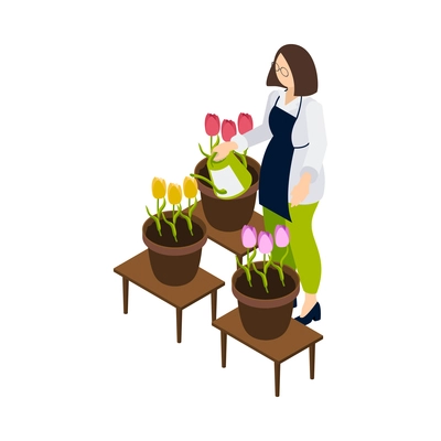 Flower shop florist icons isometric composition with female character of florist watering flowers in pots vector illustration