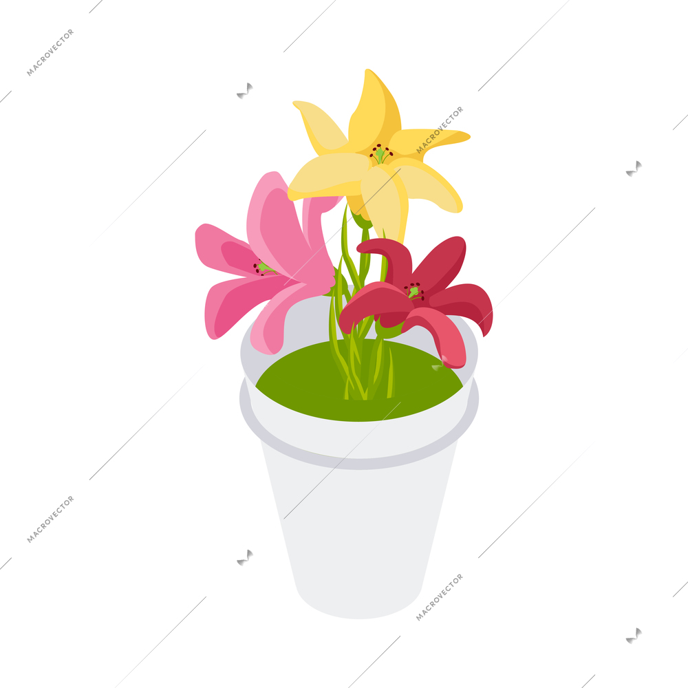 Flower shop florist icons isometric composition with isolated image of pot with colorful flowers inside vector illustration