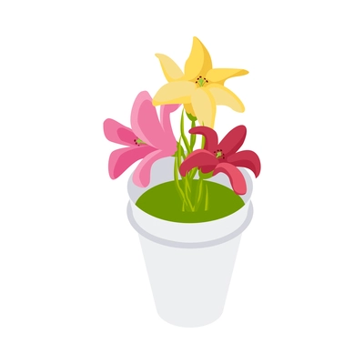 Flower shop florist icons isometric composition with isolated image of pot with colorful flowers inside vector illustration