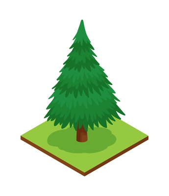 Isometric forest park nature element composition with rectangular platform and fir tree vector illustration