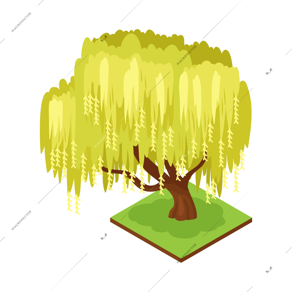 Isometric forest park nature element composition with rectangular platform and weeping willow tree vector illustration