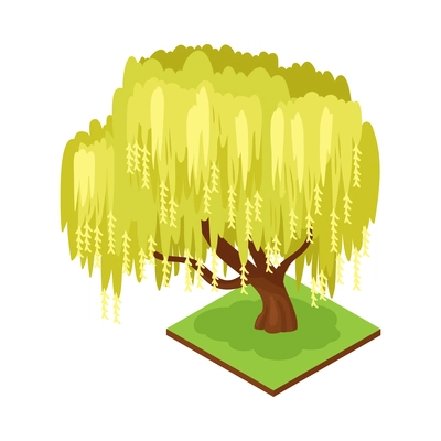 Isometric forest park nature element composition with rectangular platform and weeping willow tree vector illustration