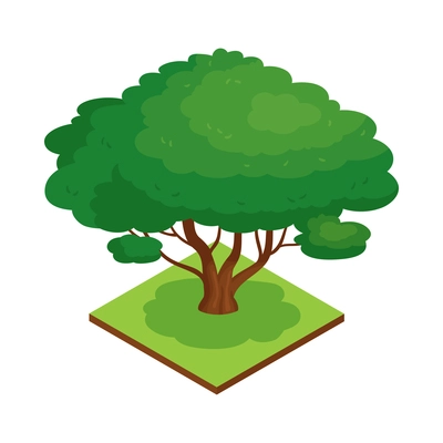 Isometric forest park nature element composition with rectangular platform and exotic tree vector illustration