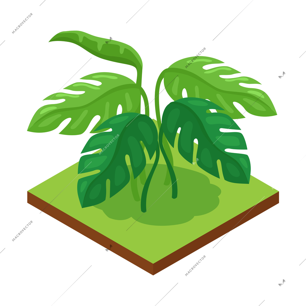 Isometric forest park nature element composition with rectangular platform and exotic leaves vector illustration