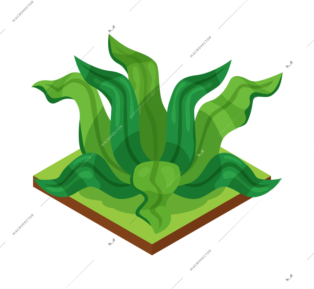 Isometric forest park nature element composition with rectangular platform and exotic grass vector illustration