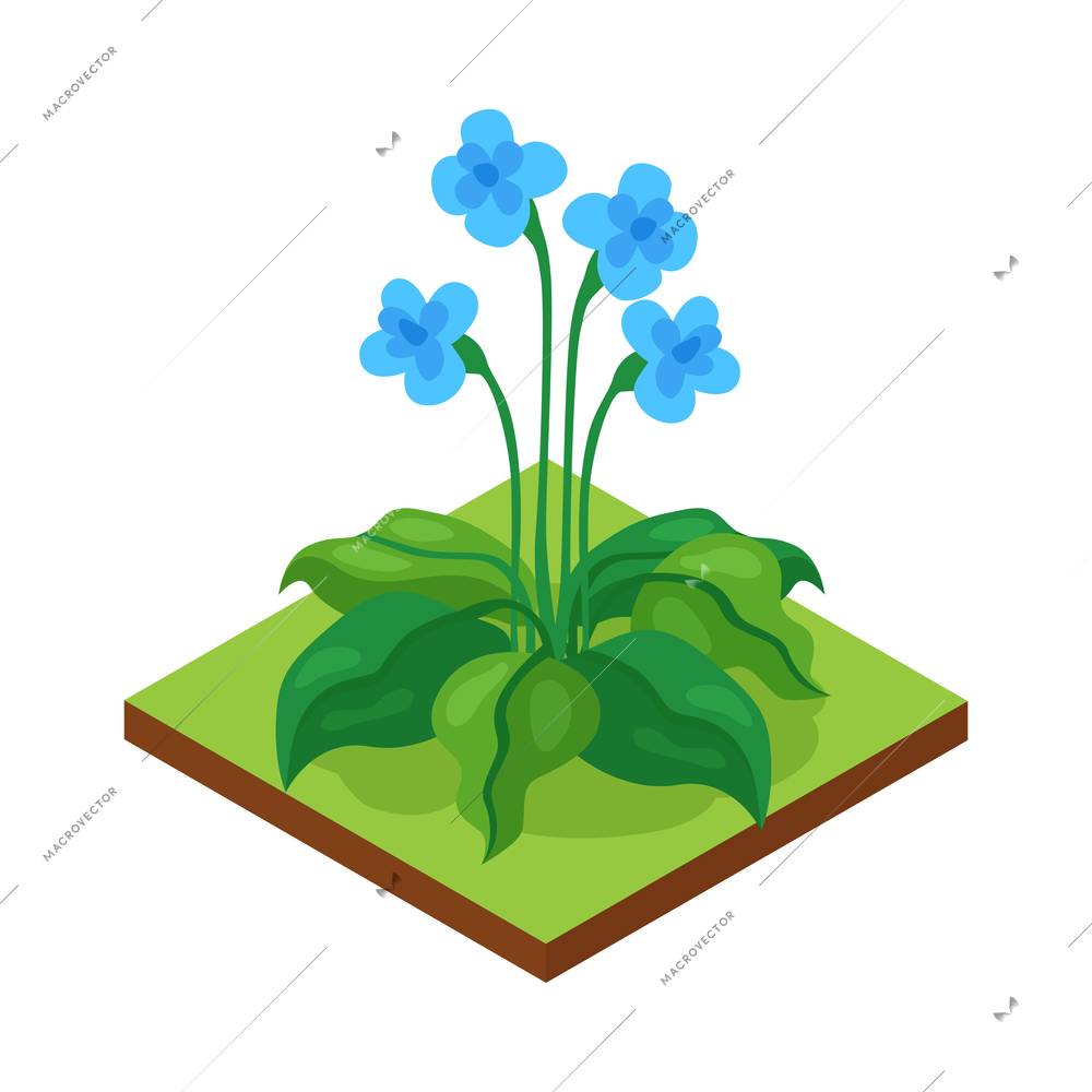 Isometric forest park nature element composition with rectangular platform and flowers vector illustration
