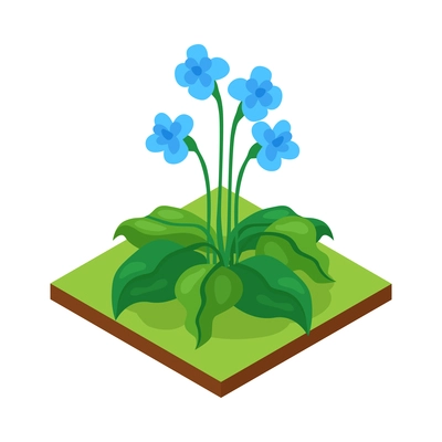 Isometric forest park nature element composition with rectangular platform and flowers vector illustration