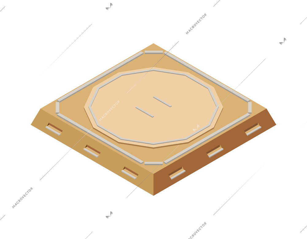 Sport fields isometric composition with isolated image of sport field on blank background vector illustration