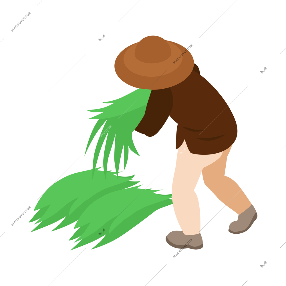 Isometric philippine travel composition with character of gardener in hat gathering grass vector illustration