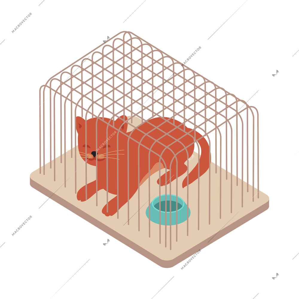 Pet animals isometric composition with isolated view of kitten inside cage vector illustration