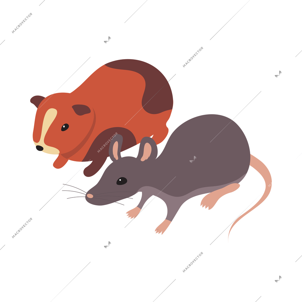 Pet animals isometric composition with isolated images of hamster and mouse vector illustration