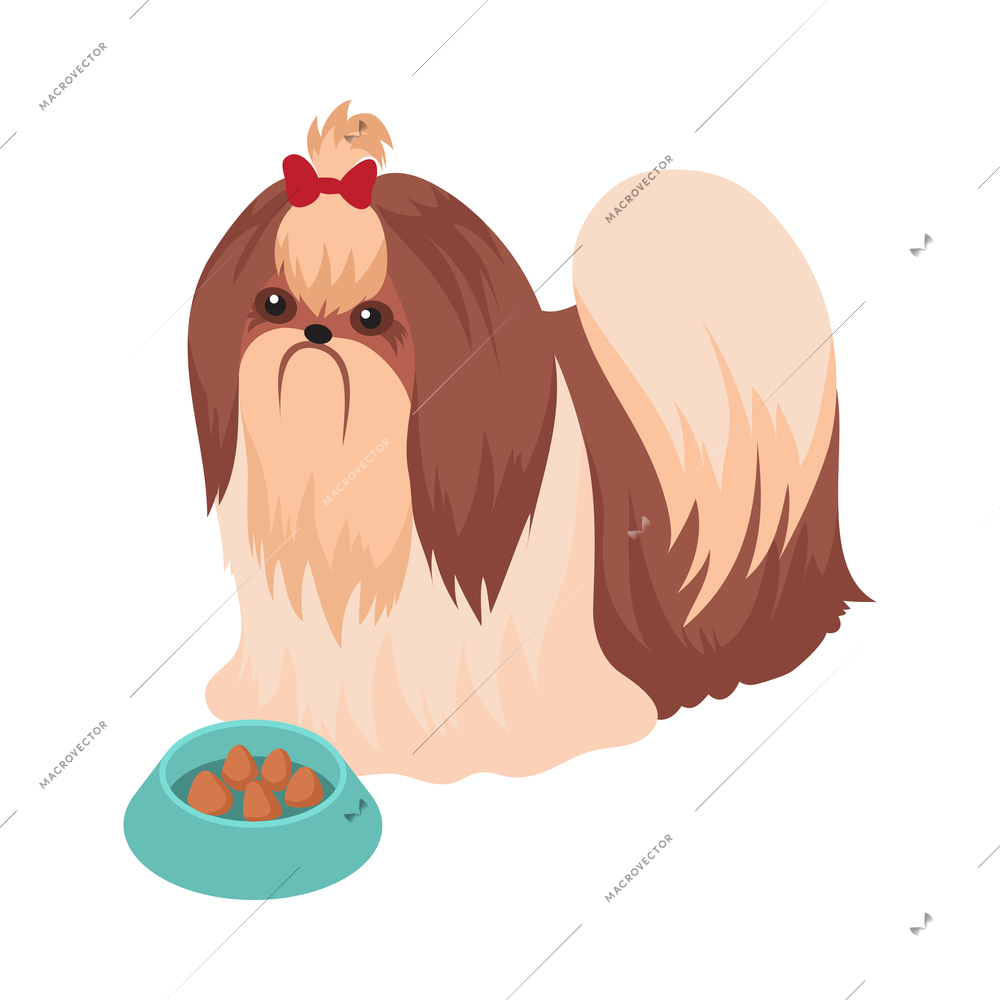 Pet animals isometric composition with isolated image of dog with long hair and food in dish vector illustration