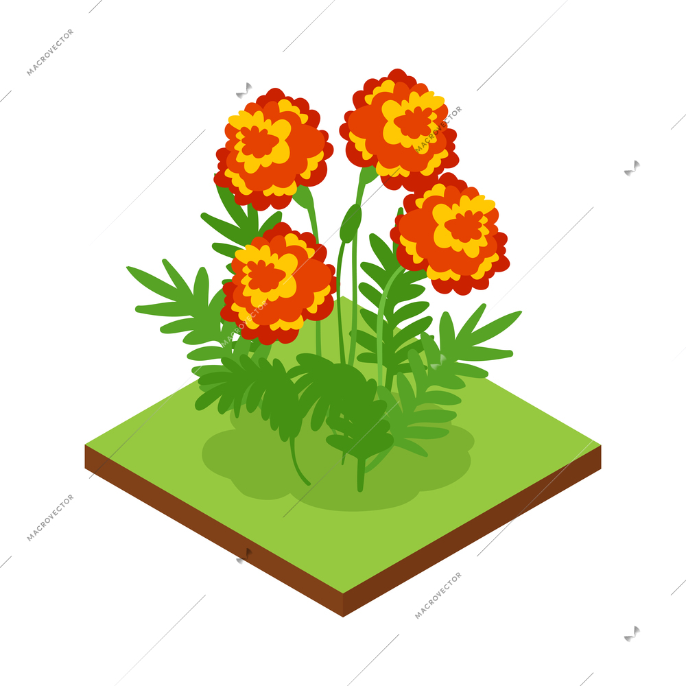 Isometric forest park nature element composition with rectangular platform and colorful flowers vector illustration