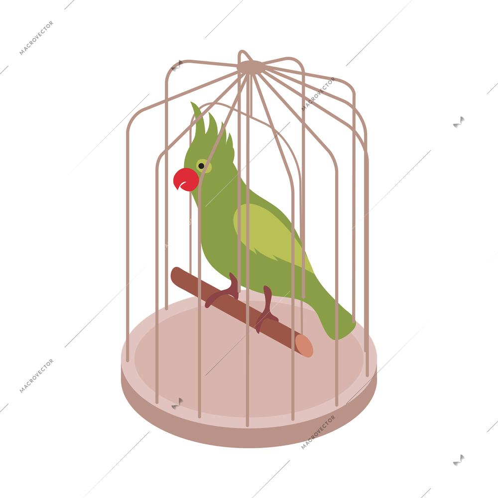 Pet animals isometric composition with isolated image of parrot sitting inside cage vector illustration