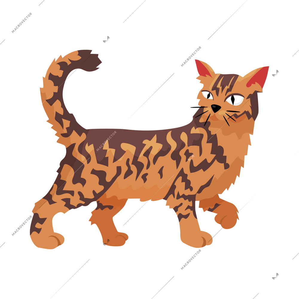 Scandinavian vikings culture composition with isolated image of domesticated wild cat with spiky hair vector illustration